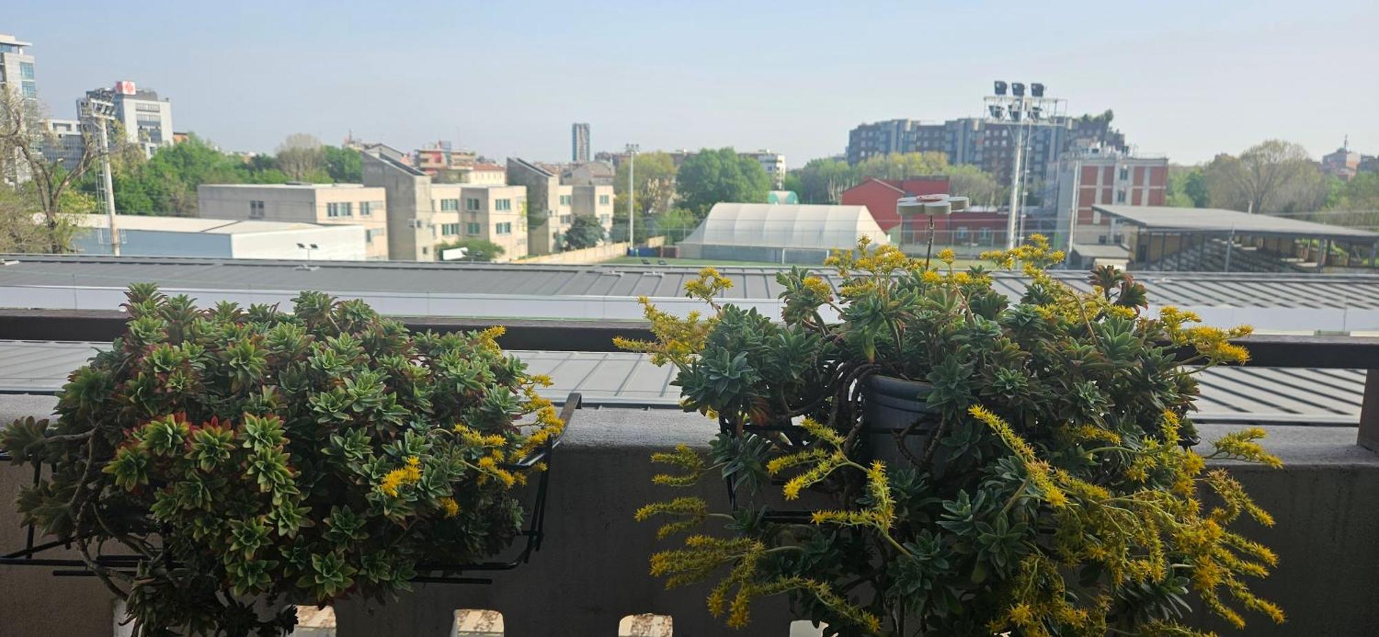 La Nostra Casa In Corte Appartamento Milano